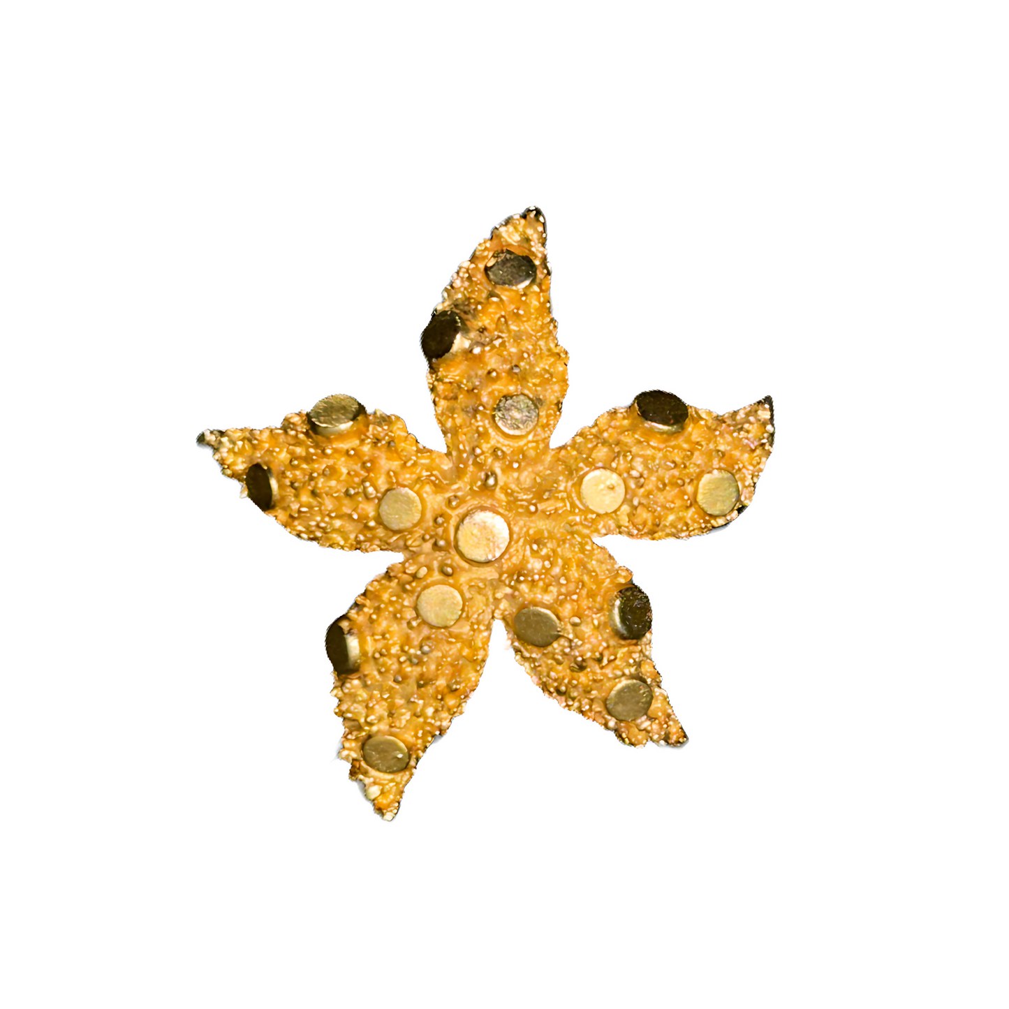 Gold Textured Starfish Pin