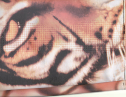 Tiger Print Sequin Flare Pants